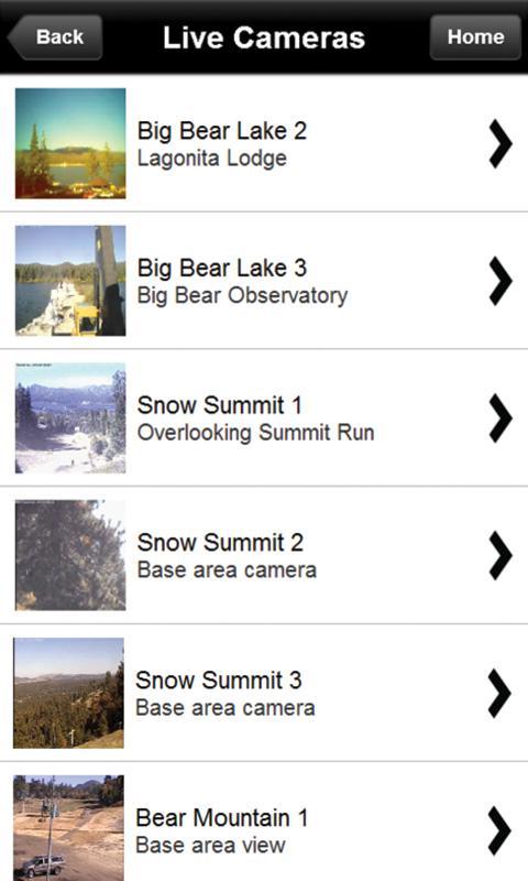 Big Bear Local