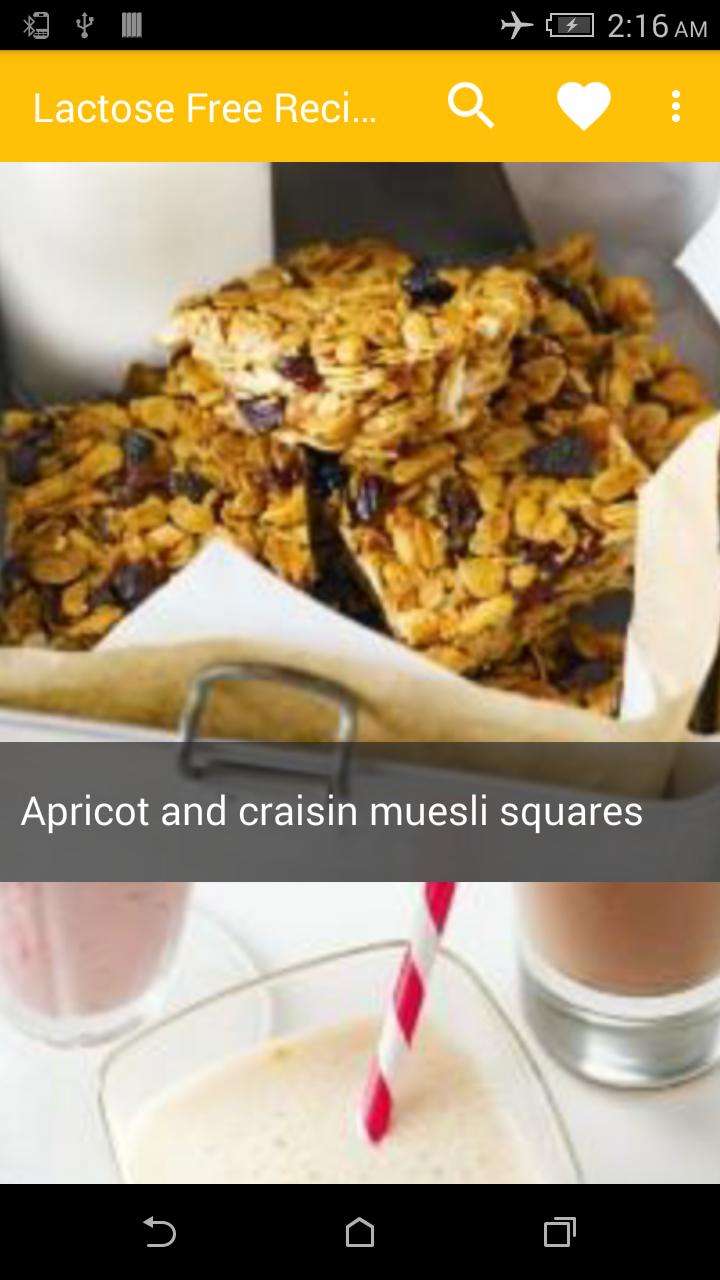 Lactose Free Recipes